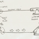 Illustration for article titled How To Break Out Of A Cars Trunk